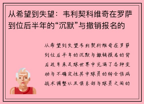 从希望到失望：韦利契科维奇在罗萨到位后半年的“沉默”与撤销报名的背后
