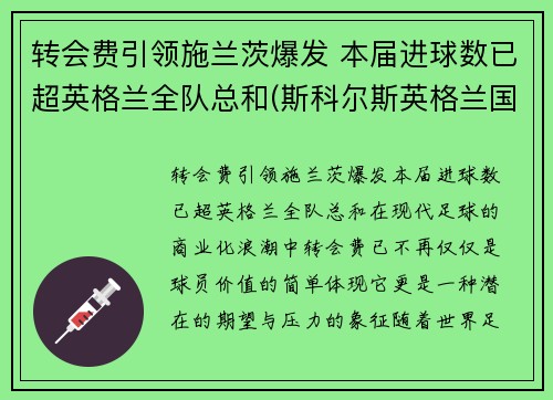 转会费引领施兰茨爆发 本届进球数已超英格兰全队总和(斯科尔斯英格兰国家队进球全记录)