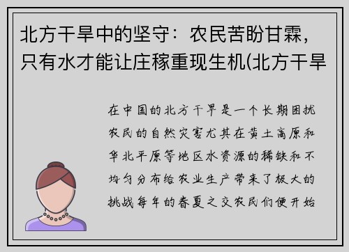 北方干旱中的坚守：农民苦盼甘霖，只有水才能让庄稼重现生机(北方干旱地区)